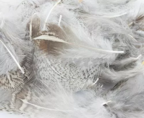 Nature's Spirit Premium Partridge Feathers - Funky Fly Tying 3 Nature's Spirit Premium Partridge Feathers - Funky Fly Tying