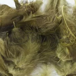 Nature's Spirit Premium Partridge Feathers - Funky Fly Tying 37 Nature's Spirit Premium Partridge Feathers - Funky Fly Tying -Fly Tying Materials Sales Natures Spirit Premium Partridge feathers Olive 1