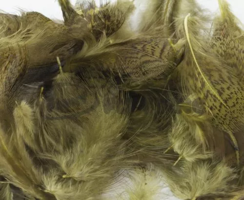 Nature's Spirit Premium Partridge Feathers - Funky Fly Tying 20 Nature's Spirit Premium Partridge Feathers - Funky Fly Tying - Image 18