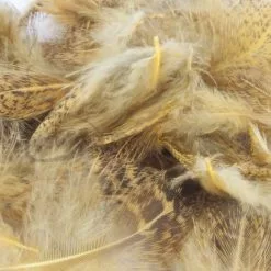 Nature's Spirit Premium Partridge Feathers - Funky Fly Tying 35 Nature's Spirit Premium Partridge Feathers - Funky Fly Tying -Fly Tying Materials Sales Natures Spirit Premium Partridge feathers Sulphur Orange 1