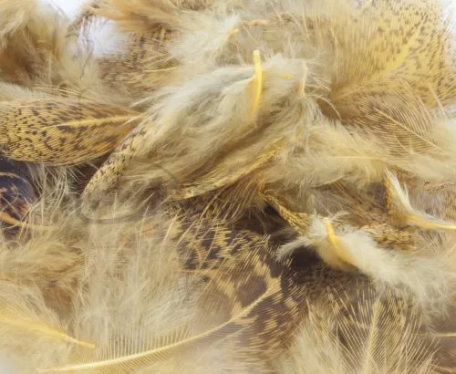 Nature's Spirit Premium Partridge Feathers - Funky Fly Tying 18 Nature's Spirit Premium Partridge Feathers - Funky Fly Tying - Image 16