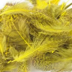 Nature's Spirit Premium Partridge Feathers - Funky Fly Tying 33 Nature's Spirit Premium Partridge Feathers - Funky Fly Tying -Fly Tying Materials Sales Natures Spirit Premium Partridge feathers yellow 1