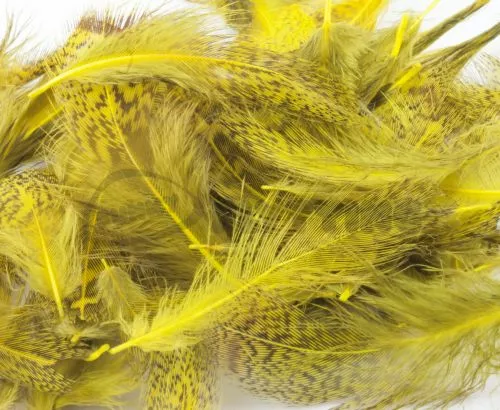 Nature's Spirit Premium Partridge Feathers - Funky Fly Tying 15 Nature's Spirit Premium Partridge Feathers - Funky Fly Tying - Image 13