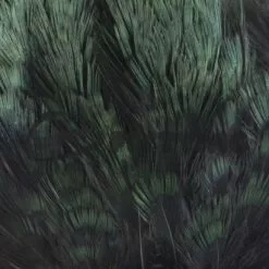 Nature's Spirit Fish Hunter Ringneck Pheasant Rump Patch - Funky Fly Tying -Fly Tying Materials Sales Natures Spirit Ringneck Pheasant Rump Patch Black 1