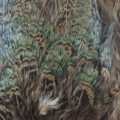 Nature's Spirit Fish Hunter Ringneck Pheasant Rump Patch - Funky Fly Tying -Fly Tying Materials Sales Natures Spirit Ringneck Pheasant Rump Patch Brown