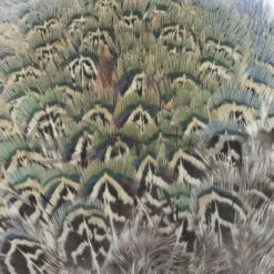 Nature's Spirit Fish Hunter Ringneck Pheasant Rump Patch - Funky Fly Tying -Fly Tying Materials Sales Natures Spirit Ringneck Pheasant Rump Patch Natural