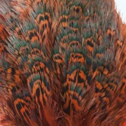 Nature's Spirit Fish Hunter Ringneck Pheasant Rump Patch - Funky Fly Tying -Fly Tying Materials Sales Natures Spirit Ringneck Pheasant Rump Patch Orange 1