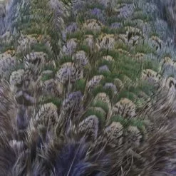 Nature's Spirit Fish Hunter Ringneck Pheasant Rump Patch - Funky Fly Tying -Fly Tying Materials Sales Natures Spirit Ringneck Pheasant Rump Patch Purple 1