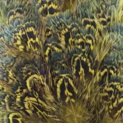 Nature's Spirit Fish Hunter Ringneck Pheasant Rump Patch - Funky Fly Tying -Fly Tying Materials Sales Natures Spirit Ringneck Pheasant Rump Patch Yellow 1