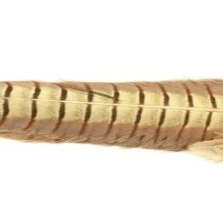 Nature's Spirit Ringneck Pheasant Tail Clumps - Funky Fly Tying -Fly Tying Materials Sales Natures Spirit Ringneck Pheasant Tail Clumps Bleached