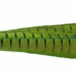 Nature's Spirit Ringneck Pheasant Tail Clumps - Funky Fly Tying -Fly Tying Materials Sales Natures Spirit Ringneck Pheasant Tail Clumps Caddis Green