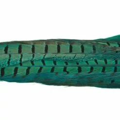 Nature's Spirit Ringneck Pheasant Tail Clumps - Funky Fly Tying -Fly Tying Materials Sales Natures Spirit Ringneck Pheasant Tail Clumps Fluo Blue 1