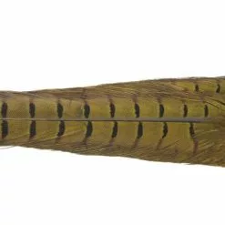 Nature's Spirit Ringneck Pheasant Tail Clumps - Funky Fly Tying -Fly Tying Materials Sales Natures Spirit Ringneck Pheasant Tail Clumps Olive 1