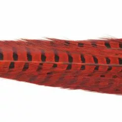Nature's Spirit Ringneck Pheasant Tail Clumps - Funky Fly Tying -Fly Tying Materials Sales Natures Spirit Ringneck Pheasant Tail Clumps Orange