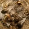 Nature's Spirit Natures Spirit Ruffed Grouse Feathers - Funky Fly Tying 2 Nature's Spirit Natures Spirit Ruffed Grouse Feathers - Funky Fly Tying -Fly Tying Materials Sales Natures Spirit Ruffed Grouse Feathers