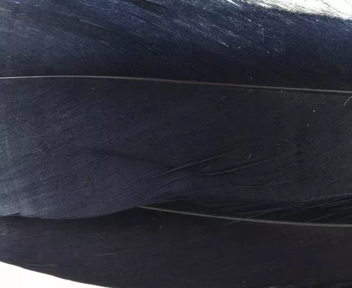 Nature's Spirit Select Goose Shoulder Feathers - Funky Fly Tying 22 Nature's Spirit Select Goose Shoulder Feathers - Funky Fly Tying - Image 20