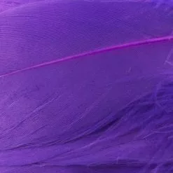 Nature's Spirit Select Goose Shoulder Feathers - Funky Fly Tying 46 Nature's Spirit Select Goose Shoulder Feathers - Funky Fly Tying -Fly Tying Materials Sales Natures Spirit Select Goose Shoulder Feathers Fl Purple