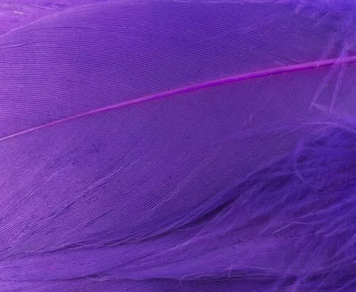 Nature's Spirit Select Goose Shoulder Feathers - Funky Fly Tying 17 Nature's Spirit Select Goose Shoulder Feathers - Funky Fly Tying - Image 15