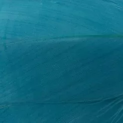 Nature's Spirit Select Goose Shoulder Feathers - Funky Fly Tying 45 Nature's Spirit Select Goose Shoulder Feathers - Funky Fly Tying -Fly Tying Materials Sales Natures Spirit Select Goose Shoulder Feathers Fluo Blue 1