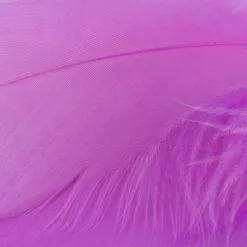 Nature's Spirit Select Goose Shoulder Feathers - Funky Fly Tying 38 Nature's Spirit Select Goose Shoulder Feathers - Funky Fly Tying -Fly Tying Materials Sales Natures Spirit Select Goose Shoulder Feathers Fluo Hot Pink