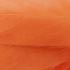 Nature's Spirit Select Goose Shoulder Feathers - Funky Fly Tying 37 Nature's Spirit Select Goose Shoulder Feathers - Funky Fly Tying -Fly Tying Materials Sales Natures Spirit Select Goose Shoulder Feathers Fluo Orange 1