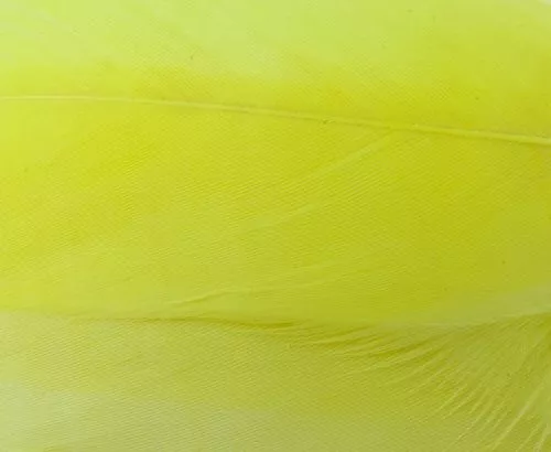 Nature's Spirit Select Goose Shoulder Feathers - Funky Fly Tying 6 Nature's Spirit Select Goose Shoulder Feathers - Funky Fly Tying - Image 4