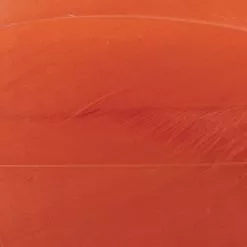 Nature's Spirit Select Goose Shoulder Feathers - Funky Fly Tying 59 Nature's Spirit Select Goose Shoulder Feathers - Funky Fly Tying -Fly Tying Materials Sales Natures Spirit Select Goose Shoulder Feathers Hot Orange 1