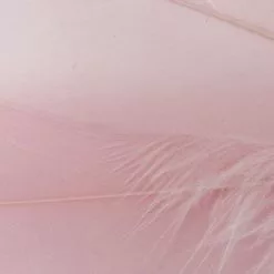 Nature's Spirit Select Goose Shoulder Feathers - Funky Fly Tying 57 Nature's Spirit Select Goose Shoulder Feathers - Funky Fly Tying -Fly Tying Materials Sales Natures Spirit Select Goose Shoulder Feathers Pink 1