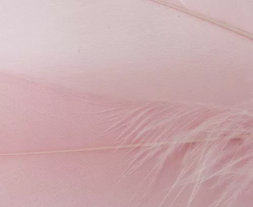 Nature's Spirit Select Goose Shoulder Feathers - Funky Fly Tying 28 Nature's Spirit Select Goose Shoulder Feathers - Funky Fly Tying - Image 26