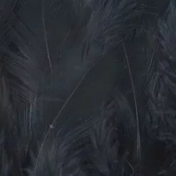 Nature's Spirit Select Grizzly Collaring Hackle (soft Hackle) - Funky Fly Tying 63 Nature's Spirit Select Grizzly Collaring Hackle (soft Hackle) - Funky Fly Tying -Fly Tying Materials Sales Natures Spirit Select Grizzly Collaring Hackle soft hackle Black