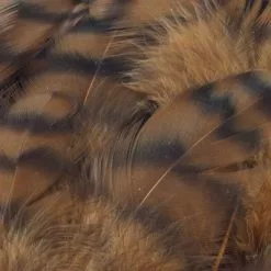 Nature's Spirit Select Grizzly Collaring Hackle (soft Hackle) - Funky Fly Tying 62 Nature's Spirit Select Grizzly Collaring Hackle (soft Hackle) - Funky Fly Tying -Fly Tying Materials Sales Natures Spirit Select Grizzly Collaring Hackle soft hackle Brown 1