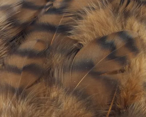 Nature's Spirit Select Grizzly Collaring Hackle (soft Hackle) - Funky Fly Tying 27 Nature's Spirit Select Grizzly Collaring Hackle (soft Hackle) - Funky Fly Tying - Image 26