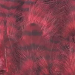 Nature's Spirit Select Grizzly Collaring Hackle (soft Hackle) - Funky Fly Tying 60 Nature's Spirit Select Grizzly Collaring Hackle (soft Hackle) - Funky Fly Tying -Fly Tying Materials Sales Natures Spirit Select Grizzly Collaring Hackle soft hackle Claret 1