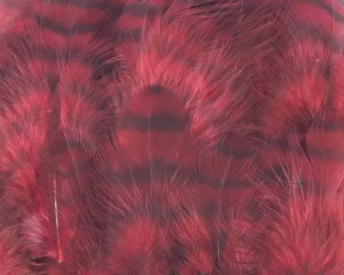 Nature's Spirit Select Grizzly Collaring Hackle (soft Hackle) - Funky Fly Tying 24 Nature's Spirit Select Grizzly Collaring Hackle (soft Hackle) - Funky Fly Tying - Image 23