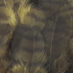 Nature's Spirit Select Grizzly Collaring Hackle (soft Hackle) - Funky Fly Tying 58 Nature's Spirit Select Grizzly Collaring Hackle (soft Hackle) - Funky Fly Tying -Fly Tying Materials Sales Natures Spirit Select Grizzly Collaring Hackle soft hackle Dark Olive 1