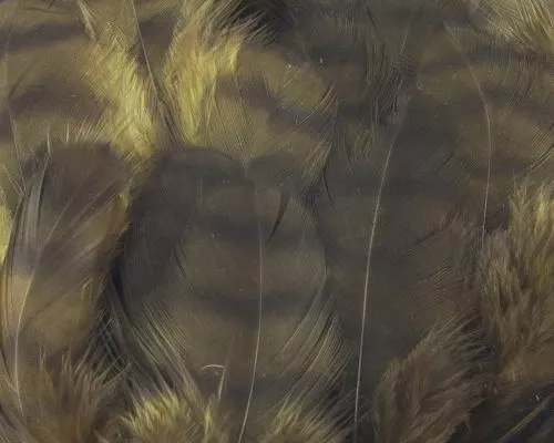 Nature's Spirit Select Grizzly Collaring Hackle (soft Hackle) - Funky Fly Tying 23 Nature's Spirit Select Grizzly Collaring Hackle (soft Hackle) - Funky Fly Tying - Image 22