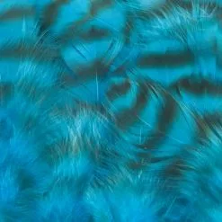 Nature's Spirit Select Grizzly Collaring Hackle (soft Hackle) - Funky Fly Tying 56 Nature's Spirit Select Grizzly Collaring Hackle (soft Hackle) - Funky Fly Tying -Fly Tying Materials Sales Natures Spirit Select Grizzly Collaring Hackle soft hackle Fluo Blue 1