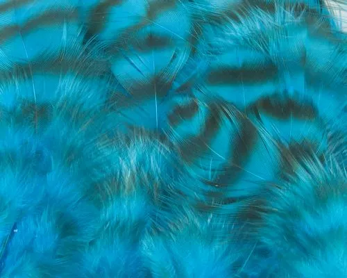 Nature's Spirit Select Grizzly Collaring Hackle (soft Hackle) - Funky Fly Tying 20 Nature's Spirit Select Grizzly Collaring Hackle (soft Hackle) - Funky Fly Tying - Image 19