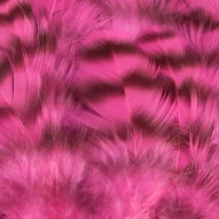 Nature's Spirit Select Grizzly Collaring Hackle (soft Hackle) - Funky Fly Tying 53 Nature's Spirit Select Grizzly Collaring Hackle (soft Hackle) - Funky Fly Tying -Fly Tying Materials Sales Natures Spirit Select Grizzly Collaring Hackle soft hackle Fluo Hot Pink