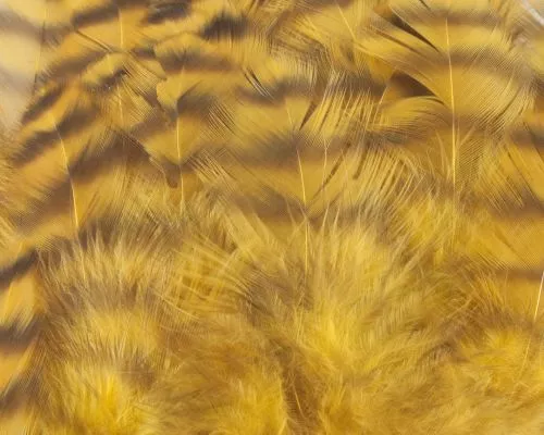 Nature's Spirit Select Grizzly Collaring Hackle (soft Hackle) - Funky Fly Tying 17 Nature's Spirit Select Grizzly Collaring Hackle (soft Hackle) - Funky Fly Tying - Image 16