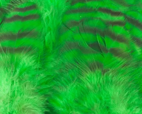 Nature's Spirit Select Grizzly Collaring Hackle (soft Hackle) - Funky Fly Tying 15 Nature's Spirit Select Grizzly Collaring Hackle (soft Hackle) - Funky Fly Tying - Image 14