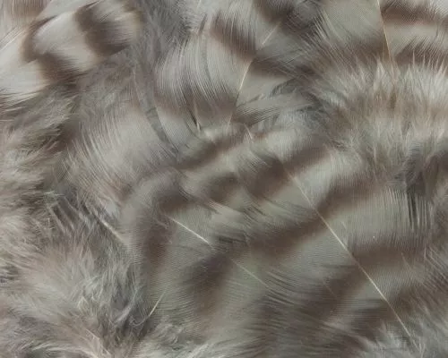 Nature's Spirit Select Grizzly Collaring Hackle (soft Hackle) - Funky Fly Tying 12 Nature's Spirit Select Grizzly Collaring Hackle (soft Hackle) - Funky Fly Tying - Image 11