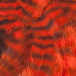 Nature's Spirit Select Grizzly Collaring Hackle (soft Hackle) - Funky Fly Tying 46 Nature's Spirit Select Grizzly Collaring Hackle (soft Hackle) - Funky Fly Tying -Fly Tying Materials Sales Natures Spirit Select Grizzly Collaring Hackle soft hackle Hot Orange 1