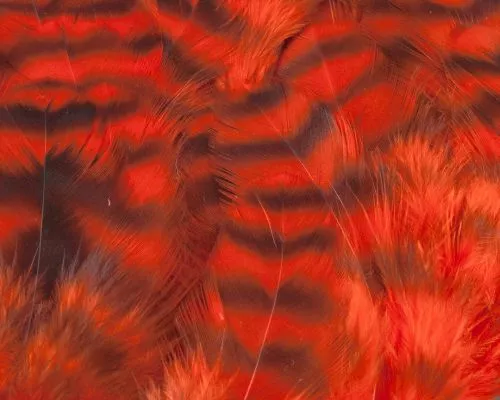 Nature's Spirit Select Grizzly Collaring Hackle (soft Hackle) - Funky Fly Tying 10 Nature's Spirit Select Grizzly Collaring Hackle (soft Hackle) - Funky Fly Tying - Image 9