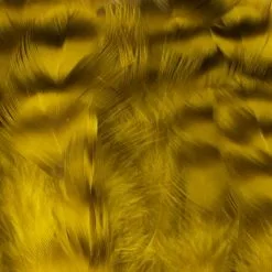 Nature's Spirit Select Grizzly Collaring Hackle (soft Hackle) - Funky Fly Tying 44 Nature's Spirit Select Grizzly Collaring Hackle (soft Hackle) - Funky Fly Tying -Fly Tying Materials Sales Natures Spirit Select Grizzly Collaring Hackle soft hackle Light Olive 1