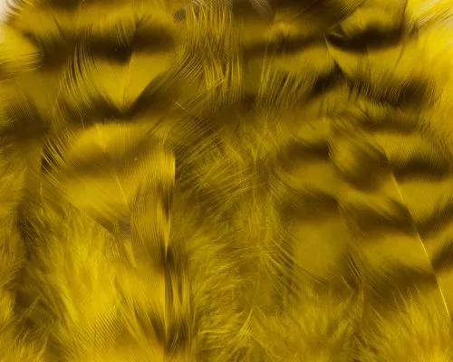 Nature's Spirit Select Grizzly Collaring Hackle (soft Hackle) - Funky Fly Tying 8 Nature's Spirit Select Grizzly Collaring Hackle (soft Hackle) - Funky Fly Tying - Image 7