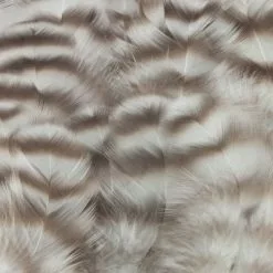 Nature's Spirit Select Grizzly Collaring Hackle (soft Hackle) - Funky Fly Tying 42 Nature's Spirit Select Grizzly Collaring Hackle (soft Hackle) - Funky Fly Tying -Fly Tying Materials Sales Natures Spirit Select Grizzly Collaring Hackle soft hackle Natural 1