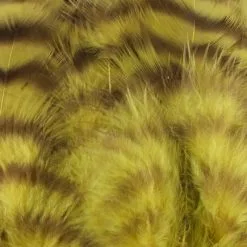 Nature's Spirit Select Grizzly Collaring Hackle (soft Hackle) - Funky Fly Tying 39 Nature's Spirit Select Grizzly Collaring Hackle (soft Hackle) - Funky Fly Tying -Fly Tying Materials Sales Natures Spirit Select Grizzly Collaring Hackle soft hackle Olive
