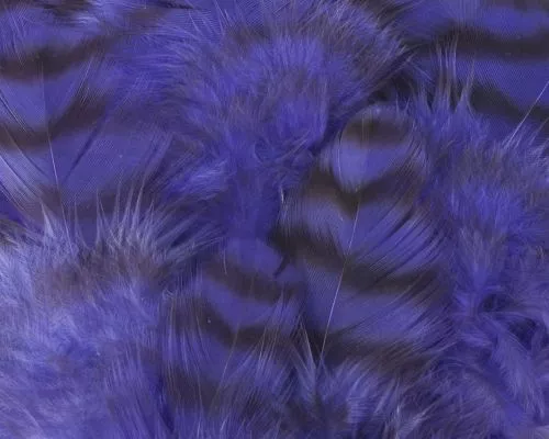 Nature's Spirit Select Grizzly Collaring Hackle (soft Hackle) - Funky Fly Tying 37 Nature's Spirit Select Grizzly Collaring Hackle (soft Hackle) - Funky Fly Tying - Image 36