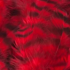 Nature's Spirit Select Grizzly Collaring Hackle (soft Hackle) - Funky Fly Tying 69 Nature's Spirit Select Grizzly Collaring Hackle (soft Hackle) - Funky Fly Tying -Fly Tying Materials Sales Natures Spirit Select Grizzly Collaring Hackle soft hackle Red